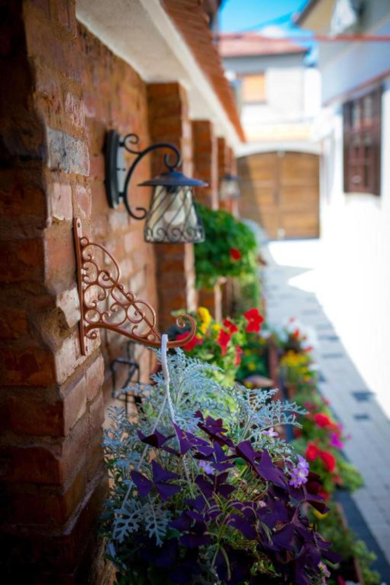 Cochet House Sibiu Aparthotel Ngoại thất bức ảnh